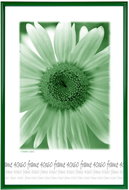 Tradag Photo Frame 40 x 60 Green - Photo Frame
