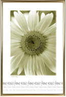 Tradag Photo Frame 40 x 60 Gold - Photo Frame