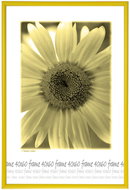 Tradag Photo Frame 40 x 60 Yellow - Photo Frame