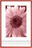 Tradag Photo Frame 50 x 70cm Red - Photo Frame