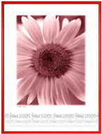 Tradag 70 x 100cm Red - Photo Frame