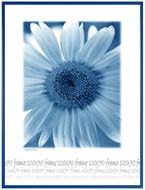 Tradag Photo Frame 70 x 100cm Blue - Photo Frame