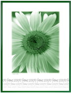 Tradag 70 x 100 Green Plexiglass - Photo Frame