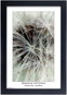 Képkeret TRADAG Natura 20×30, fekete - Fotorámeček