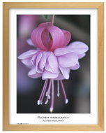 TRADAG Natura 30 x 40 natural - Photo Frame