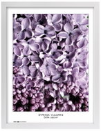 TRADAG Natura 40 x 50 white - Photo Frame