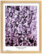 TRADAG Natura 40 x 50 natural - Photo Frame