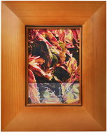 TRADAG DWR orange - Photo Frame