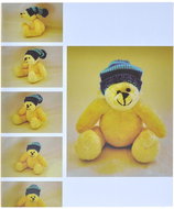 Tradag Bear Yellow - Photo Album