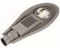 TESLA LED Public Lighting 60W SL506040-6HE - LED Light