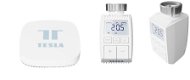 Thermostat Tesla Smart Bundle Basic 2 (2x Ventil + Hub) - Termostat