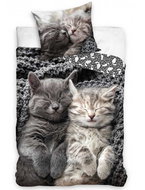 TipTrade Sweet dreaming kittens, 140 × 200 cm + 70 × 90 cm - Children's Bedding