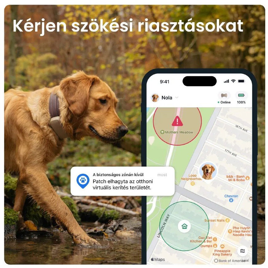 Tractive DOG 6 XL GPS-kutyanyomkövető egészségfigyelővel és figyelmeztetésekkel, fekete