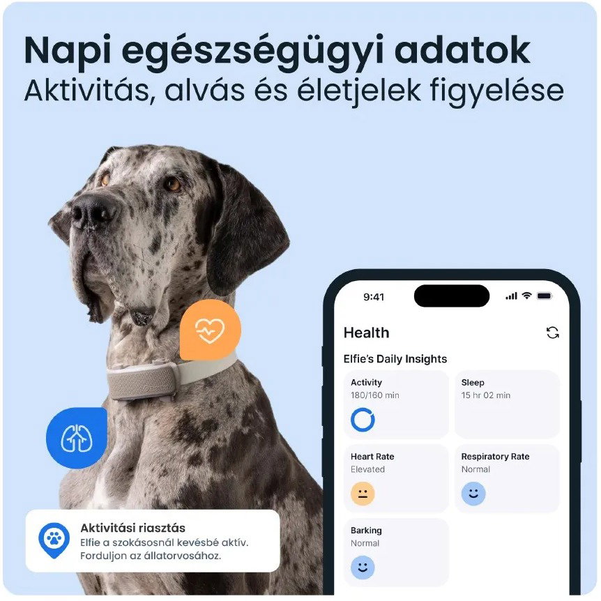 Tractive DOG 6 XL GPS-kutyanyomkövető egészségfigyelővel és figyelmeztetésekkel, fekete