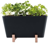 WaterWick - Self-watering Mini Box “Plant Box“ - Flower Box