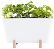 WaterWick - Self-watering Mini Box “Plant Box“ - Flower Box