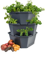 Paul Potato - A Three-Storey Potato Tower - Flower Pot