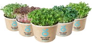 Grow Kit - A Set for Growing Microgreens - Microgreens Set