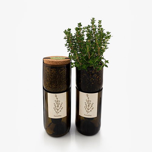 Grow Bottle - Mint - Microgreens Planter - Main image