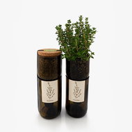 Grow Bottle - Thyme - Microgreens Planter