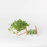 Grow Box Uno - Broccoli - Microgreens Planter