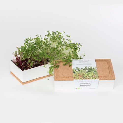 Grow Box Duo - Arugula, Cress - Microgreens Planter - Main image