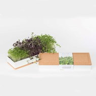 Grow Box Trio - Beets, Cress, Broccoli - Microgreens Planter
