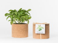 Grow Cork Pot - Chives - Flower Pot