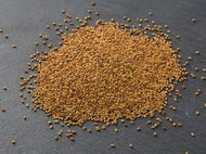 TvojeFarma Vojtěška 50g - Seeds