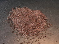 TvojeFarma Červená Mustard 50g - Seeds