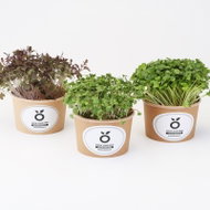 GROWN Grow kit mini - sada pro pěstování microgreens - Příslušenství pro pěstování
