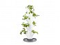 Gusta Garden SISSI STRAWBERRY starter samozavlažovací truhlík 4 patra, bílý - Květináč