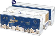 LINTEO Day & Night 3× (10 × 10 pcs) - Tissues