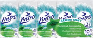 LINTEO Mint 10×10 Stück - Papiertaschentuch