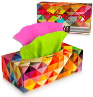 RENOVA paper handkerchiefs green and pink (80 pcs) - Tissues