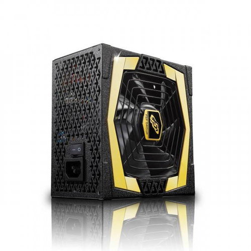 Fortron Aurum Pro 1000 - PC-Netzteil - Hauptbild
