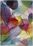 Kusový koberec Atractivo Colors 22368 Multi 140×200 cm - Koberec