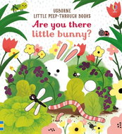 Usborne Are you there little bunny? - Kniha
