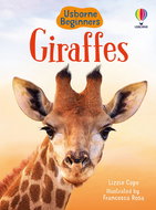 Usborne Giraffes - Emily Bone
