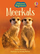 Usborne Meerkats - Emily Bone