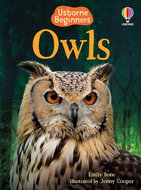Usborne Owls - Kniha