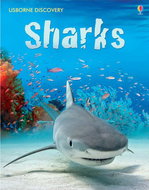 Usborne Sharks - Emily Bone