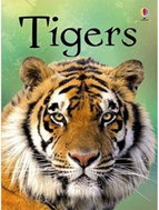 Usborne Tigers  - Emily Bone