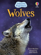 Usborne Wolves - Kniha