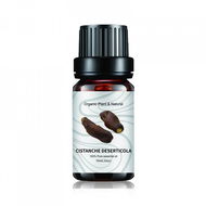 TaiChi Spa esenciální olej Cistanche pouštní 10ml - TSP073 - Esenciální olej