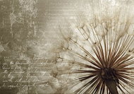 VAVEX wallpaper 22113 - Wallpaper