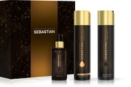 SEBASTIAN PROFESSIONAL Dark Oil - Haircare Set