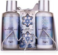ACCENTRA Winter Wonderland v drátěném stojánku 200 ml - Dárková kosmetická sada