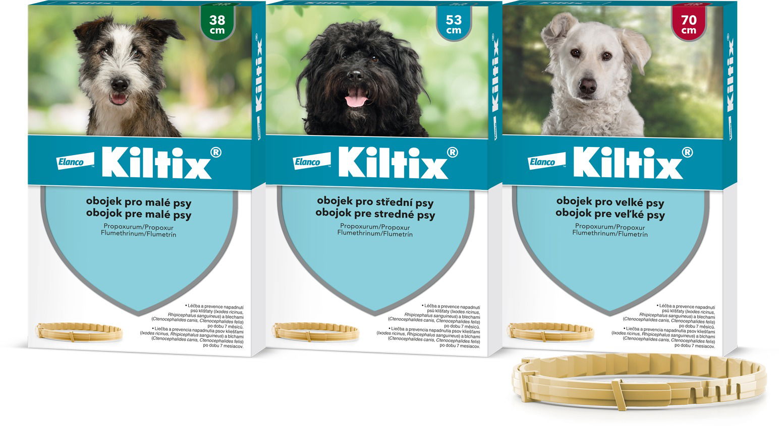 Kiltix collar cheap large