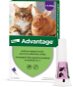 Antiparasitic Pipette Advantage 1 × 0,8ml Spot-on Solution for Large Cats and Rabbits - Antiparazitní pipeta